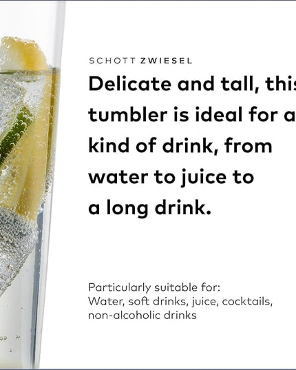 SCHOTT ZWIESEL Basic Bar Allround Tumbler 18 Ounce (Set of 6), Drinking Glasses for Every Day, Dishwasher-Safe Tritan Crystal Glasses, Made in Germany