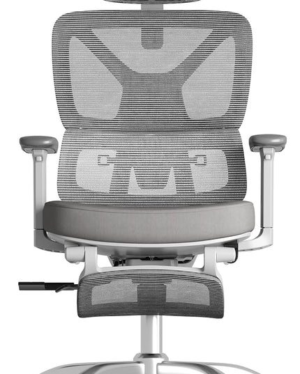 FLEXISPOT ErgoX Premium Ergonomic Office Chair with Footrest- Adjustable 3D Armrests, Dynamic Lumbar Support, Recline & Tilt Function, Mesh Seat, for Home & Office Use,Foam Grey