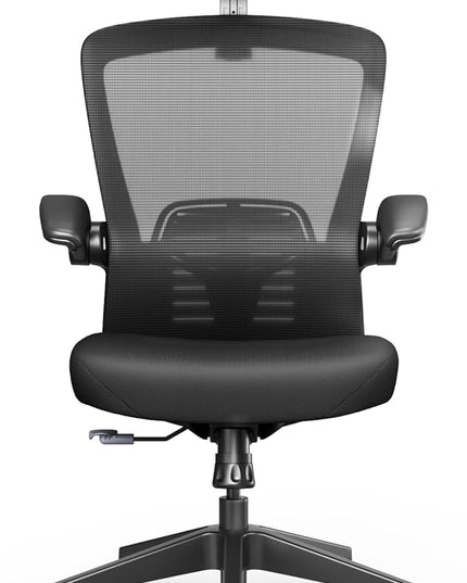 FLEXISPOT OC3 Pro Ergonomic Office Chair High Back Computer Chair with Flexible Flip-up Armrest/8-Level Lumbar Support, High Elastic Foam Seat Cushion, Chairs for Home Office Working Studying, Black