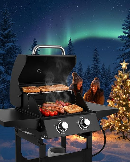 Q039-2-Burner Gas Grill with 234 SQ.IN. Outdoor Grill with 16,000 BTU,Propane Grills with Top Cover Lid,Grills Outdoor Cooking for Camping,Balcony,Patios,Garden