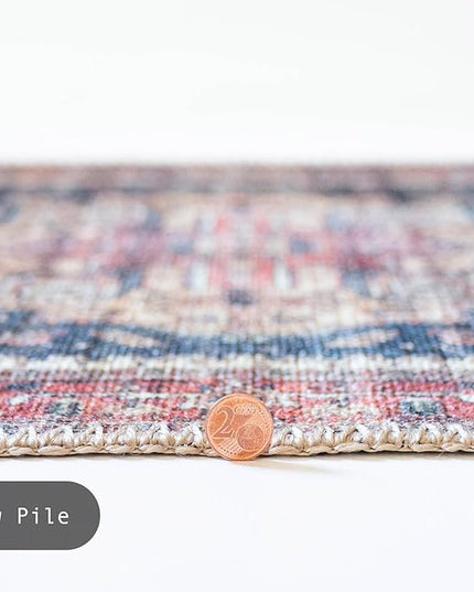 GLN Rugs Traditional Collection - Machine Washable Area Rug, Traditional Washable, Non Slip, Low Pile Chenille Rug, Living Room, Bedroom, Kitchen Rug (4'x6' Black/Terra)