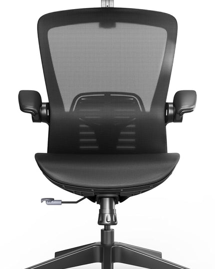 FLEXISPOT OC3 Pro Ergonomic Office Chair High Back Computer Chair with Flip-up Armrest/8-Level Lumbar Support, Breathable Mesh Seat Cushion Backrest, Chairs for Home Office Gaming Working, Black