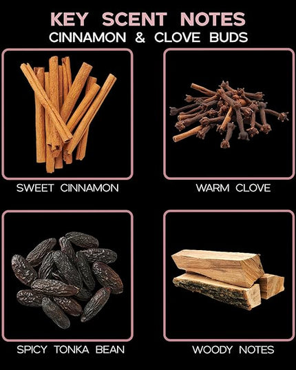 LOVSPA Reed Diffuser Set, Cinnamon & Clove Buds Scented Oil Diffuser with Sticks, Home Fragrance Accessories for Bathroom Shelf Decor, Aroma Diffusers for Home or Office Fall Decor, USA Made