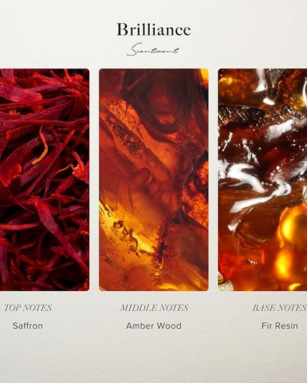 Scentiment Diffuser Oil - Brilliance Designer Collection | Aromatherapy Home Fragrance | Luxurious Scent with Notes of Saffron, Amberwood, Fir Resin (120 mL)