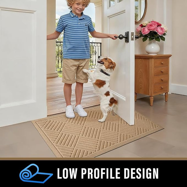 PLEASOR Front Door Mat Outside Entrance, Dirt Resistant and Absorbent Welcome Door Mat Outdoor Indoor, Sturdy Non-Slip Backing Entry Mat, Fade Resistant, Low Profile Doormat for Entryway, 29x17, Beige
