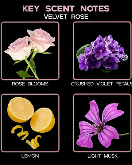 LOVSPA Reed Diffuser Set, Velvet Rose Scented Oil Diffuser with Sticks, Home Fragrance Accessories for Bathroom Shelf Decor, Aroma Diffusers for Home or Office Desk, USA Made