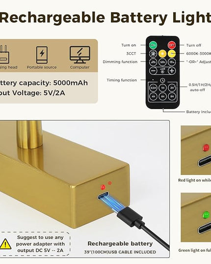 Joosenhouse Battery Operated Picture Light, Wireless Painting Art Light with Remote Control, Dimmable & Timer Function, 15.35" Brass Gallery Light Wall Sconce