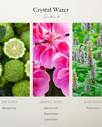 Scentiment Diffuser Oil - Crystal Water Designer Collection | Aromatherapy Home Fragrance | Luxurious Scent with Notes of Bergamot, Geranium, Patchouli (120 mL)