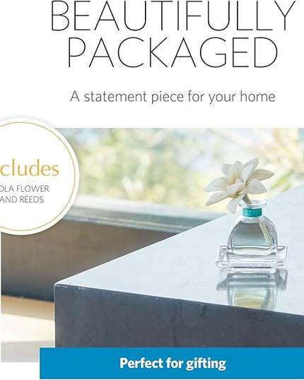 AGRARIA PetiteEssence Flower and Reed Diffuser Set, Hand Crafted Sola Flower Botanical Home Fragrance Set, Scented Oil Gift for All Occasions