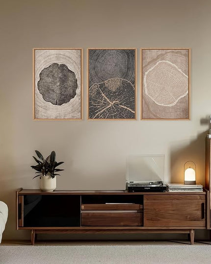 HOURIA Neutral Brown Tree Rings Framed Canvas Wall Art Set,Modern Beige Tan Wood Stump Wall Decor,Vintage Abstract Tree Spiral Art Print,Nature Black Artwork for Living Room,Bedroom,Office- 16"x24"x3