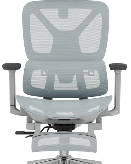 FLEXISPOT ErgoX Premium Ergonomic Office Chair with Footrest- Adjustable 3D Armrests, Dynamic Lumbar Support, Recline & Tilt Function, Mesh Seat, for Home & Office Use,Blue