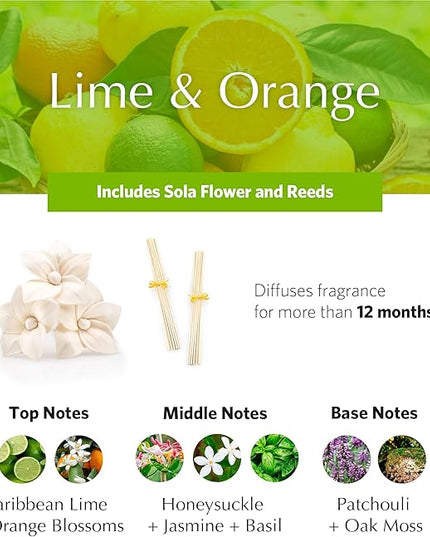 AGRARIA AirEssence Flower and Reed Diffuser Set, Handmade Sola Flower Botanical Home Fragrance Set, Scented Oil Reed Diffuser Gift for All Occasions