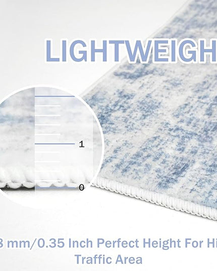 IOHOUZE Small Abstract Area Rug 2x3 Ft Entryway Rugs Washable Door Mat Indoor Entrance, Rubber Backed Throw Rugs, Printed Non Slip Floor Carpet for Foyer Front Door Sink, Light Blue White