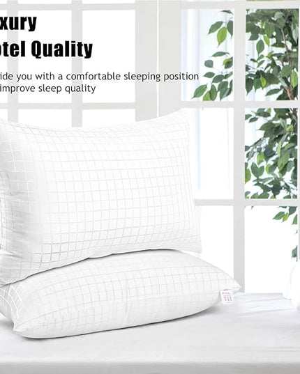 EIUE 2 Pack Queen Size Bed Pillows for Sleeping,Super Soft Down Alternative Microfiber Filled Pillows,20 x 30 Inches,White