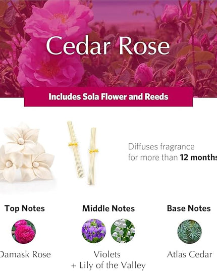 Cedar Rose Holiday AirEssence Diffuser, 7.4oz