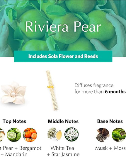AGRARIA PetiteEssence Botanical Home Fragrance Gift Set, Hand Crafted Sola Flower Scented Oil Reed Diffuser for All Occasions
