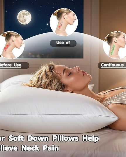 Canadian Goose Down Pillows Queen Size Set of 2,80% Goose Down and 20% Goose Feathers Goose Feathers,1650+ Fill Power White Down Pillow with 800 Thread Count Cotton Shell (White 20"x30" 2 Pack)