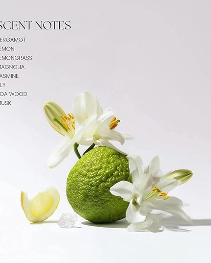 Levona Scent Essential Oil - Fresh Aroma for Home, Office, Hotel & Spa, Ideal for Humidifiers & Diffusers, Hotel Fragrance with Bergamot, Lemon & Lemongrass - 10ml / 0.33 fl oz, 24K Allure