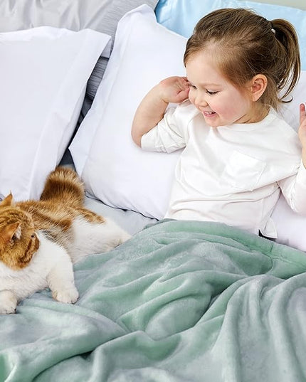 Bedsure GentleSoft Bedding Fleece Blanket for Girls and Boys - Soft Cozy Cute Small Throw Blankets for Travel, 43x55 Inches, Sage Green