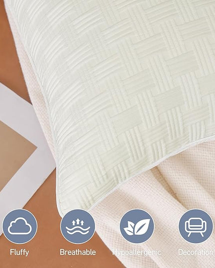 Leeden 24x24 Pillow Inserts Set of 2 - Decorative 24 Inch Throw Pillow Insert, Soft Fluffy Square Throw Pillows for Couch Bed, Beige Couch Pillow Insert Pair