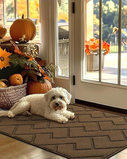 hicorfe Indoor Door Mat,Non Slip Door Mats,32"x48" Front Back Door Mat Rubber Backing,Absorbent Resist Dirt Entrance Inside Floor Mats for Entryway Washable Low-Profile(Dark Brown)