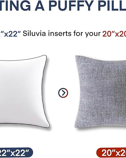 Siluvia 22"x22" Pillow Insert Set of 2 Square Throw 22 Pillows with 100% Cotton Cover for Sofa, Couch, and Bed - White