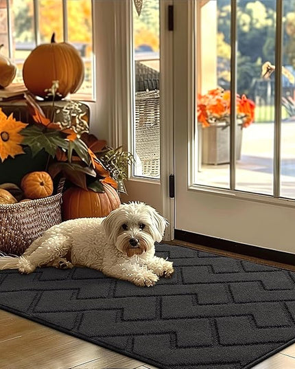 hicorfe Indoor Door Mat,Non Slip Door Mats,32"x48" Front Back Door Mat Rubber Backing,Absorbent Resist Dirt Entrance Inside Floor Mats for Entryway Washable Low-Profile(Charcoal)