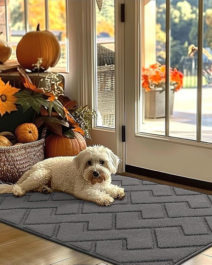 hicorfe Indoor Door Mat,Non Slip Door Mats,32"x48" Front Back Door Mat Rubber Backing,Absorbent Resist Dirt Entrance Inside Floor Mats for Entryway Washable Low-Profile(Grey)