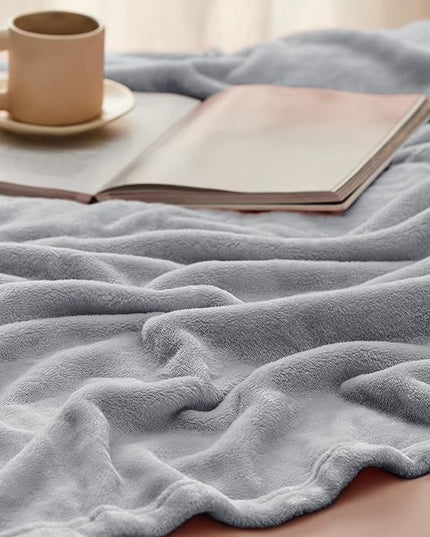 Bedsure GentleSoft Fleece Blanket Twin Size Light Grey - 300GSM Lightweight Plush Fuzzy Cozy Soft Warm Blanket for Bed, Sofa, Couch, Travel, Camping, 60x80 inches