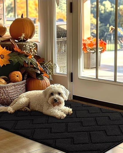 hicorfe Indoor Door Mat,Non Slip Door Mats,32"x48" Front Back Door Mat Rubber Backing,Absorbent Resist Dirt Entrance Inside Floor Mats for Entryway Washable Low-Profile(Black)