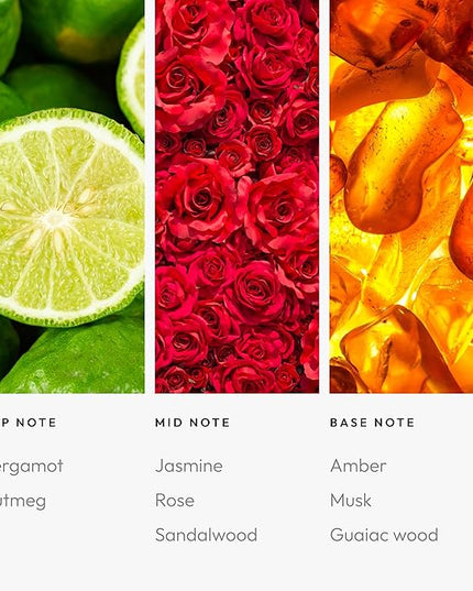 Aroma360 | Disney | Sassy Petals Fragrance Oil Blend | Daisy Duck | Luxury Aromatherapy Scent Diffuser Oil | Bergamot, Rose and Amber 16.9 fl oz, 500 mL