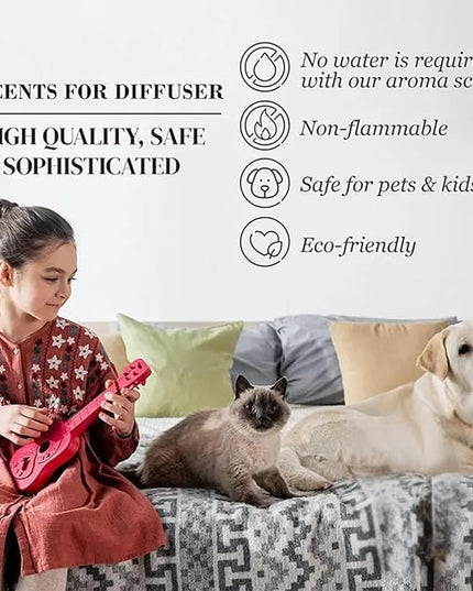 Dream on Essential Oil Scent 500mL - Luxury Home Aromatherapy Diffuser Oil - Formulated with Hints of Bright White Tea, Sweet Vanilla, & Earthy Cedar - Inspired by One Hotel Miami Beach