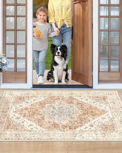 Ciicool Washable Vintage Area Rug, 2x3ft Boho Small Rug, Ultra Soft Rugs for Entryway, Non-Slip Entry Rugs Oriental Low-Pile Indoor Mat Floor Carpet for Entrance Bedroom Kitchen Bathroom Foyer Decor