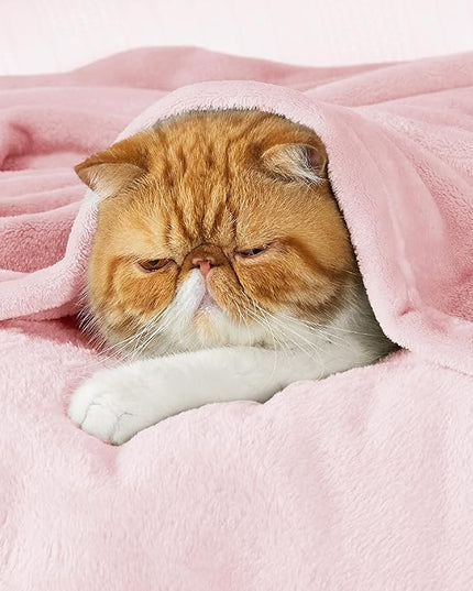 Bedsure GentleSoft Pink Fleece Throw Blanket for Couch - 300GSM Cozy Soft Blankets for Women, Cute Small Fleece Throws for Girls, Pink Home Decor Gifts, 50x60 Inches