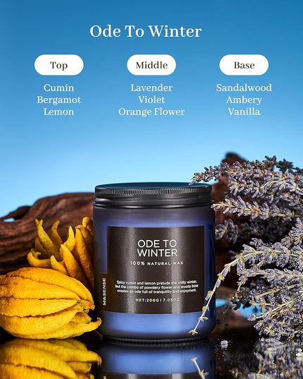 M&SENSE Ode to Winter Scented Candle for Home Natural Soy Wax Non Toxic Cotton Wick Winter Scent, 7.05oz Up to 50 Hours Burn Time Gifts for Christmas Holiday