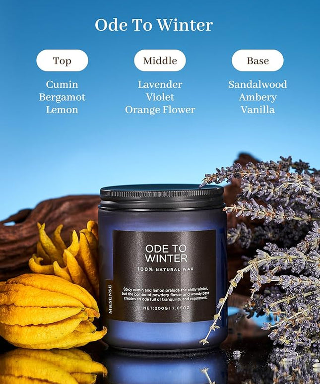 M&SENSE Ode to Winter Scented Candle for Home Natural Soy Wax Non Toxic Cotton Wick Winter Scent, 7.05oz Up to 50 Hours Burn Time Gifts for Christmas Holiday