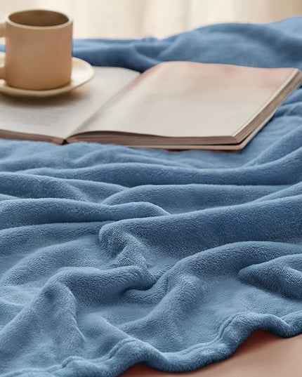 Bedsure GentleSoft Fleece Blanket Twin Size Washed Blue - 300GSM Lightweight Plush Fuzzy Cozy Soft Warm Blanket for Bed, Sofa, Couch, Travel, Camping, 60x80 inches