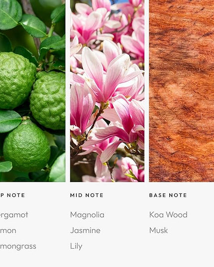Aroma360-24K Magic Fragrance Oil Blend 50ML | Hotel Inspired Luxury Essential Oil Diffusers | Aromatherapy Scent Diffuser Oil | Citrus Beginning of Bergamot, Lemon & Lemongrass with Notes of Jasmine