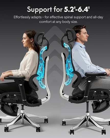 FLEXISPOT ErgoX Max Ergonomic Office Chair Black - Aluminum Alloy Frame & Base, 661 lb Capacity, 5D Armrests, 4D Adaptive Lumbar & 4D Headrest
