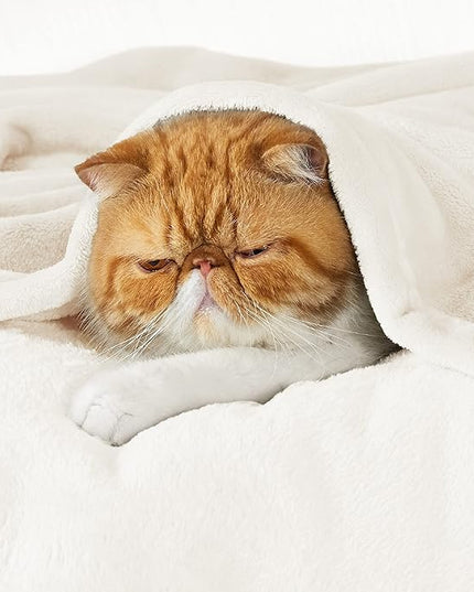 Bedsure GentleSoft Fleece Throw XL Blanket Cream - 300GSM Soft Lightweight Plush Cozy Blankets for Bed, Sofa, Couch, Travel, Camping, 50x70 inches