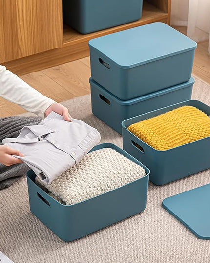 Plastic Storage Bins with lids,Storage Baskets,Container with handle,Storage Organizer Bins for Shelves,Office,Bedrooms,Closets, Cabinets(Blue, 3M)