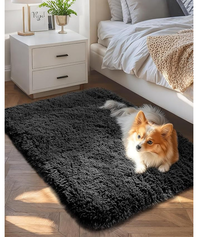 Ophanie Small Black Entryway Throw Rugs for Bedroom, 2x3 Mini Area Rug, Affordable Non Slip Fluffy Carpet, Fuzzy Soft Living Room Rugs, Home Decor Aesthetic, Nursery