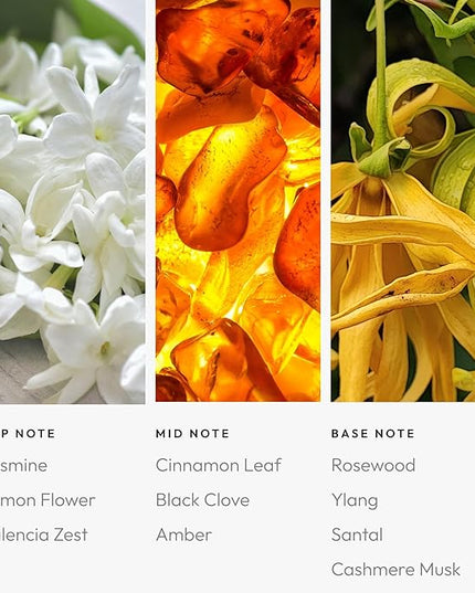 Aroma360 - Sweet Caroline Fragrance Oil