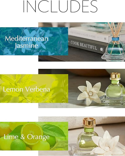 AGRARIA Citrus & Floral PetiteEssence Collection, Handmade Sola Flower Reed Diffuser Set of 3, Luxury Home Fragrance Scented Oil Diffuser Gift Set
