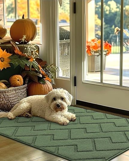 hicorfe Indoor Door Mat,Non Slip Door Mats,32"x48" Front Back Door Mat Rubber Backing,Absorbent Resist Dirt Entrance Inside Floor Mats for Entryway Washable Low-Profile(Green)