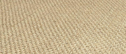 SAFAVIEH Area Rug 6x9 - Natural Fiber Collection - Natural & Ivory, Seagrass, Basketweave Pattern with Border (NF114J)