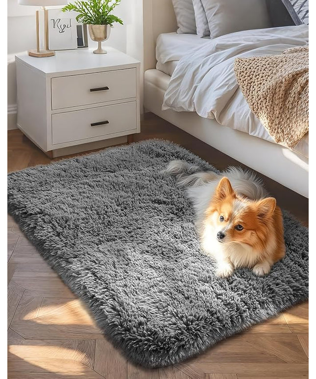 Ophanie Small Rug Upgrade Non Slip Throw Bedside Area Rugs, Fluffy Soft Grey Mini Bedroom Carpet, Affordable Door Entryway Indoor Inside Front Entrance Dog 2x3 Mat, Home Decor Aesthetic, Nursery