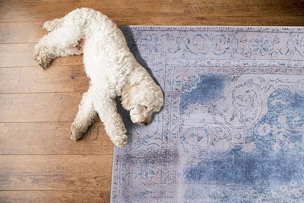GLN Rugs Traditional Collection - Machine Washable Area Rug, Traditional Washable, Non Slip, Low Pile Chenille Rug, Living Room, Bedroom, Kitchen Rug (5'-3" x7'-5" Cream/Navy)