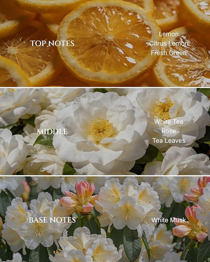 Aromadd White Tea Diffuser Oil Inspired by Luxury Hotel Scent, Essential Oils for Waterless Diffuser, White Tea & Bergamot, Long-Lasting & Natural Home Fragrance - 3.38 fl oz (100 mL)