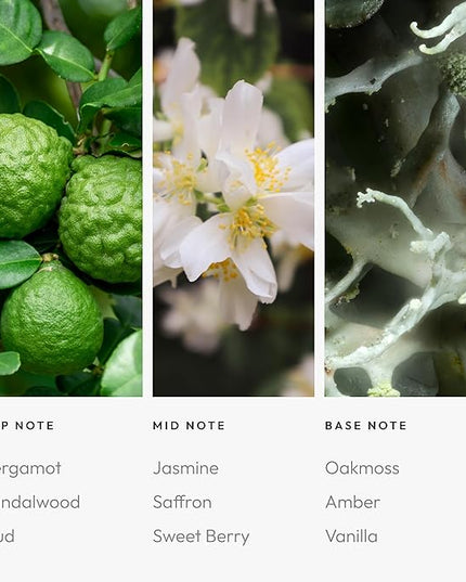 Aroma360 - Chandelier Fragrance Oil Blend | Hotel Inspired for Luxury Essential Oil Diffusers | Aromatherapy Scent Diffuser Oil | Bergamot, Woodsy Sandalwood, and Flirtatious Saffron - 500ML